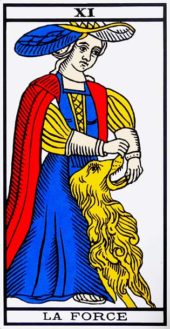 card-5