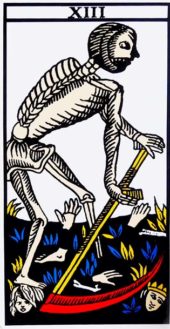card-17